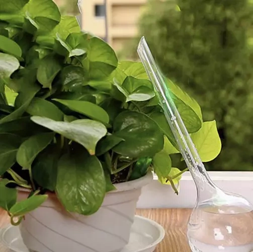 zavlažovacie gule kvetináč